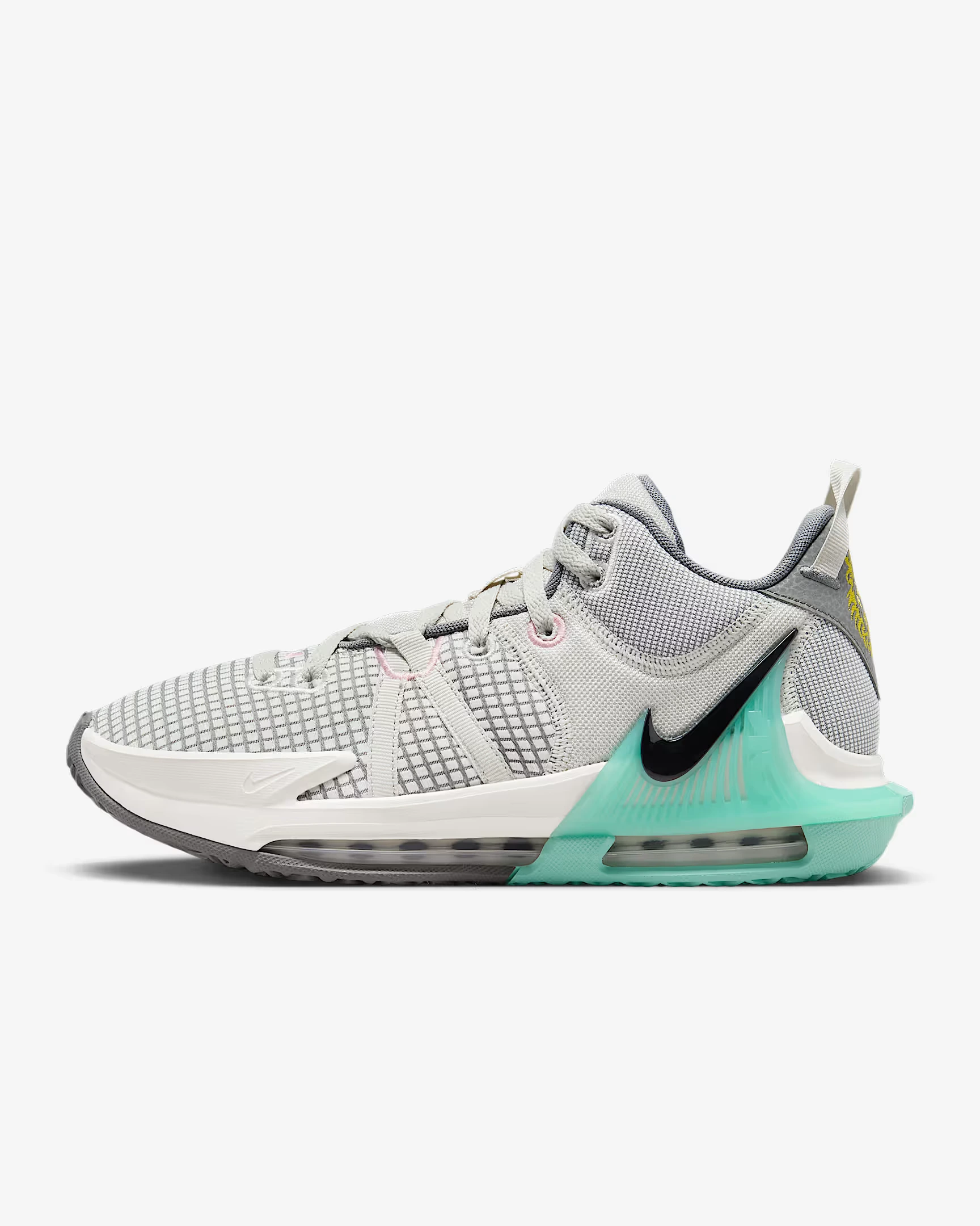 LEBRONWITNESSVIIEP